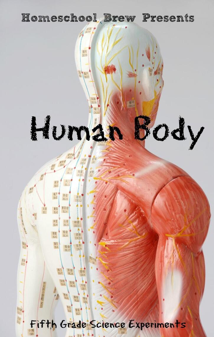 Read Human Body (Fifth Grade Science Experiments) Online by Thomas Bell