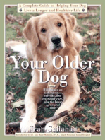 Your Older Dog: A Complete Guide to Helping Your Dog Live a Longer