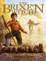 The Brixen Witch