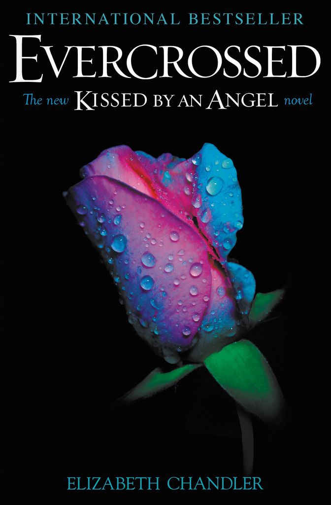 Evercrossed by Elizabeth Chandler - Book - Read Online