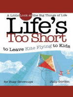 Life's too Short to Leave Kite Flying to Kids