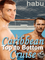 Caribbean Cruise Top to Bottom