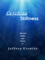 Catching Stillness