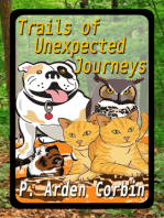 Trails of Unexpected Journeys