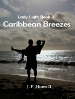 Lady Light Book 2