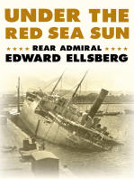 Under the Red Sea Sun