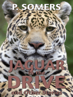 Jaguar in the Drive and Other Stories