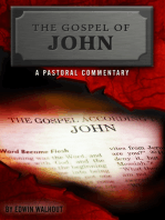 The Gospel of John: A Pastoral Commentary