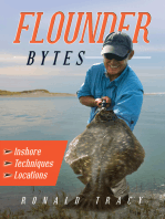 Flounder Bytes