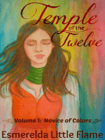 Temple of the Twelve (Volume 1: Novice of Colors)