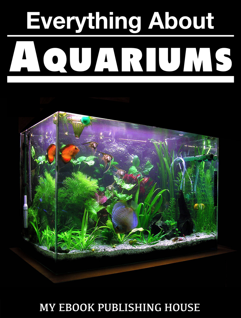 Read Everything About Aquariums Online by My Ebook Publishing House Books