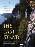 The Last Stand: A Journey Through the Ancient Cliff-Face Forest of the Niagara Escarpment