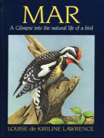 Mar: A Glimpse Into the Natural Life of a Bird