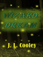 Wizard Dream