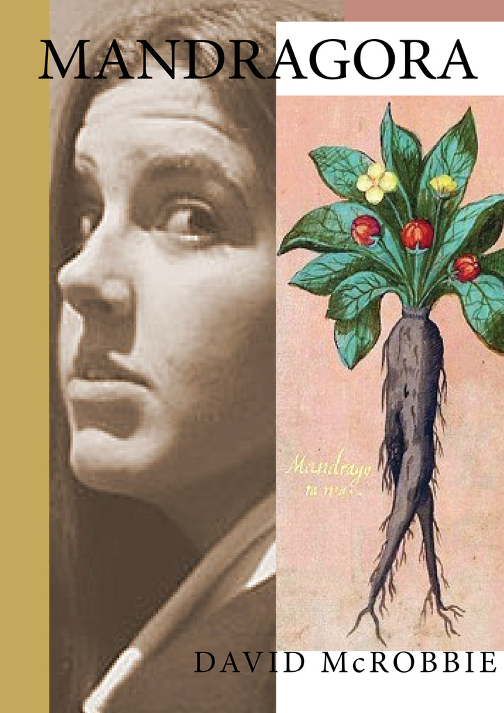 Mandragora by david mcrobbie essay 02 picture