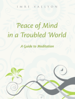 Peace Of Mind In A Troubled World: A Guide To Meditation