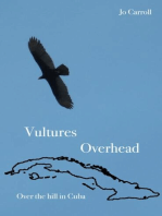 Vultures Overhead