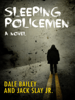 Sleeping Policemen