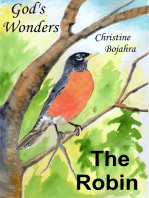 God's Wonders,The Robin
