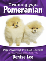 Training your Pomeranian