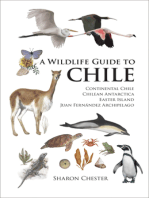 A Wildlife Guide to Chile: Continental Chile, Chilean Antarctica, Easter Island, Juan Fernández Archipelago