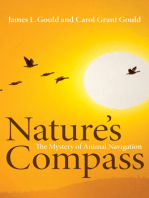 Nature's Compass: The Mystery of Animal Navigation