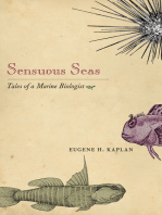 Sensuous Seas: Tales of a Marine Biologist