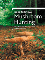 Mushroom Hunting