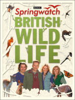 Springwatch British Wildlife