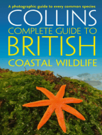 British Coastal Wildlife