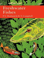 British Freshwater Fish