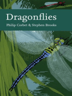 Dragonflies