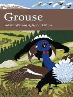 Grouse