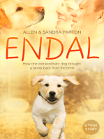 Endal