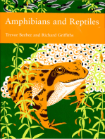 Amphibians and Reptiles