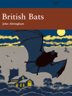 British Bats