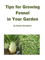 Tips for Growing Fennel in Your Garden