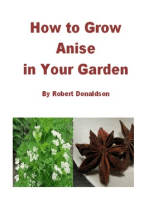 How to Grow Anise in Your Garden