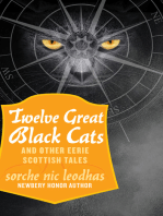 Twelve Great Black Cats