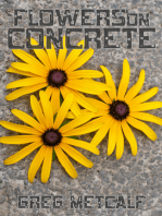 Flowers on Concrete