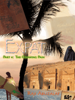 Expat: Part 4: The Growing Pain