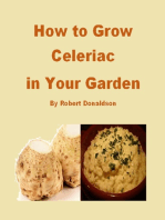 How to Grow Celeriac in Your Garden