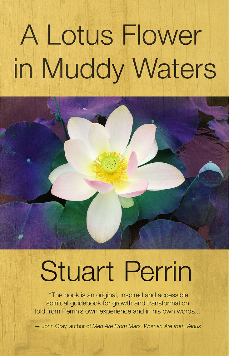 A Lotus Flower in Muddy Waters by Stuart Perrin Read Online