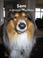 Sam, A Shaggy Dog Story