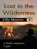 Lost in the Wilderness