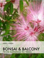 Bonsai and Balcony: from saplings to trees