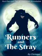 Runners and the Stray