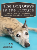 The Dog Stays in the Picture: How My Rescued Greyhound Helped Me Cope with My Empty Nest