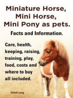 Miniature Horse, Mini Horse, Mini Pony as pets. Facts and Information. Care, health, keeping, raising, training, play, food, costs and where to buy all included.