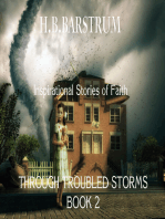 Through Troubled Storms: Inspirational Stories of Faith Book 2